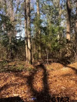 Picture of Residential land & home lots at Tbd Lewis St 5, Henderson, TX