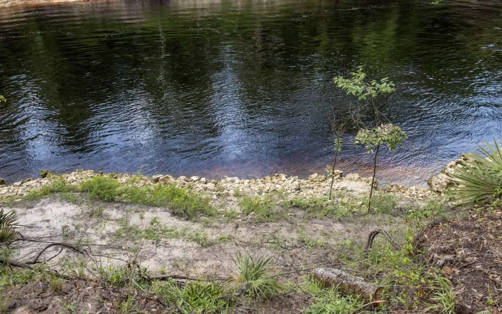 Picture 10