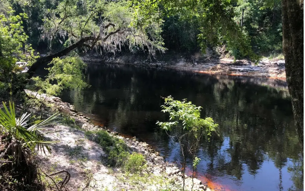 Picture 19