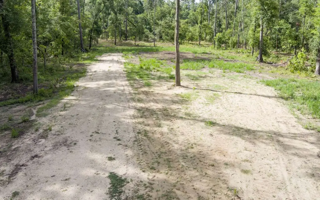 Picture 5