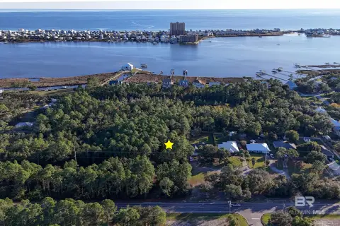Vacant Land in Gulf Shores