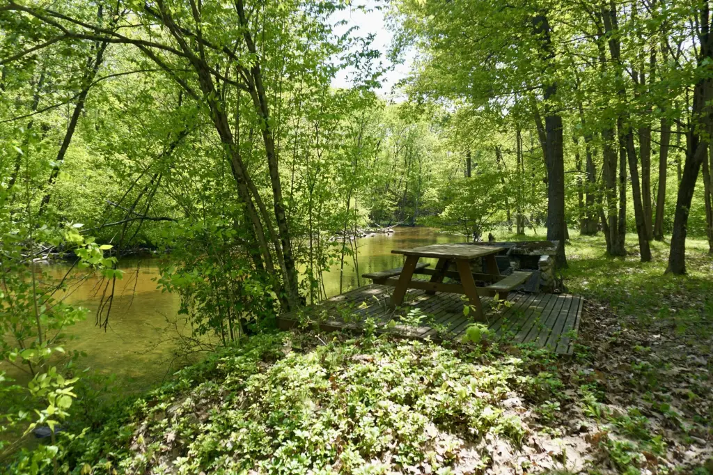 Picture 21