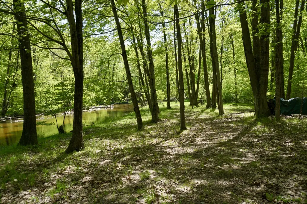 Picture 25