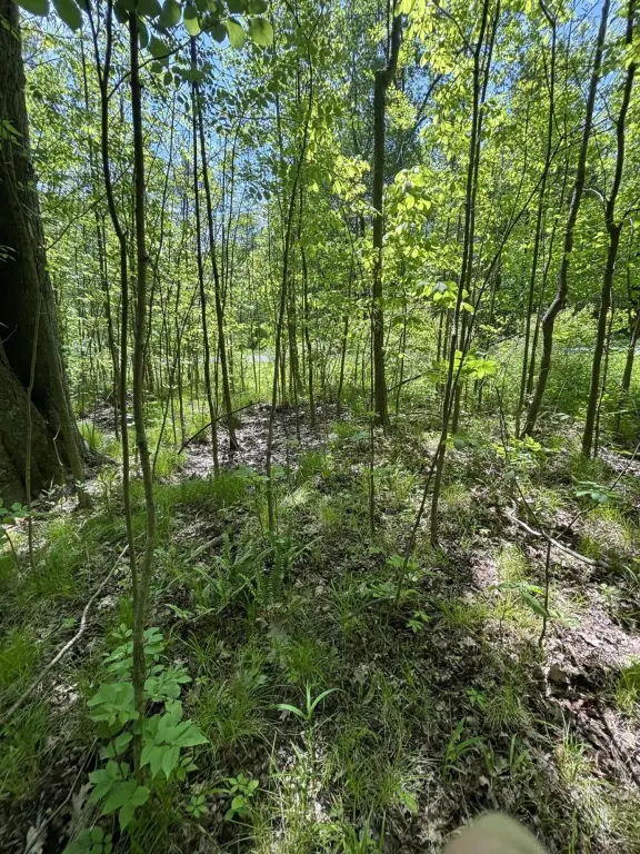 Picture 20