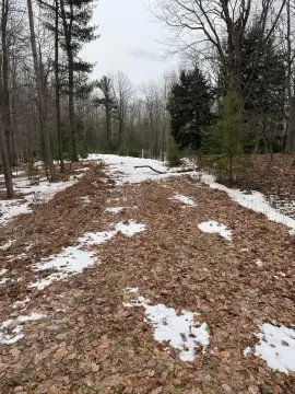Manistee Land with Association Amenities
