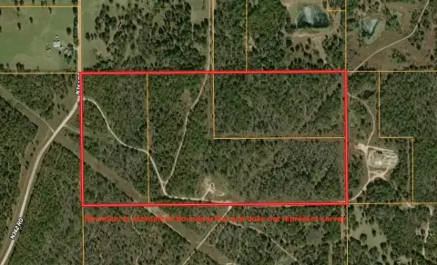 Wooded Hunting Land