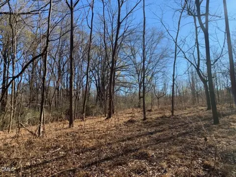 Undeveloped Land in Siler City
