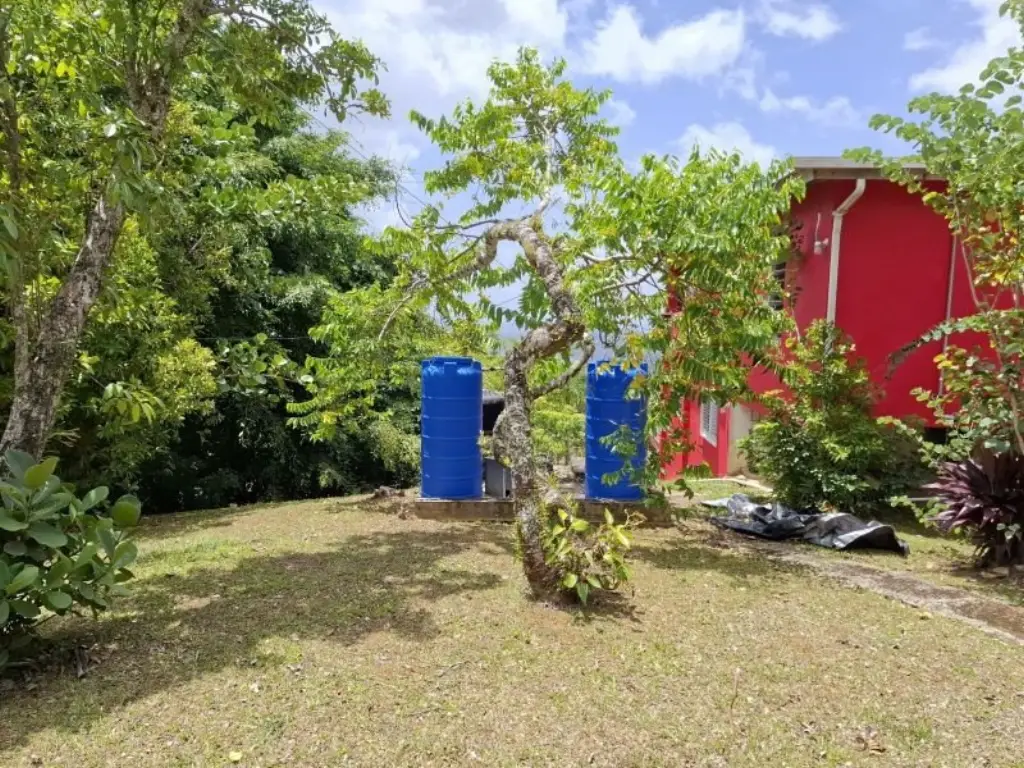 Picture 23