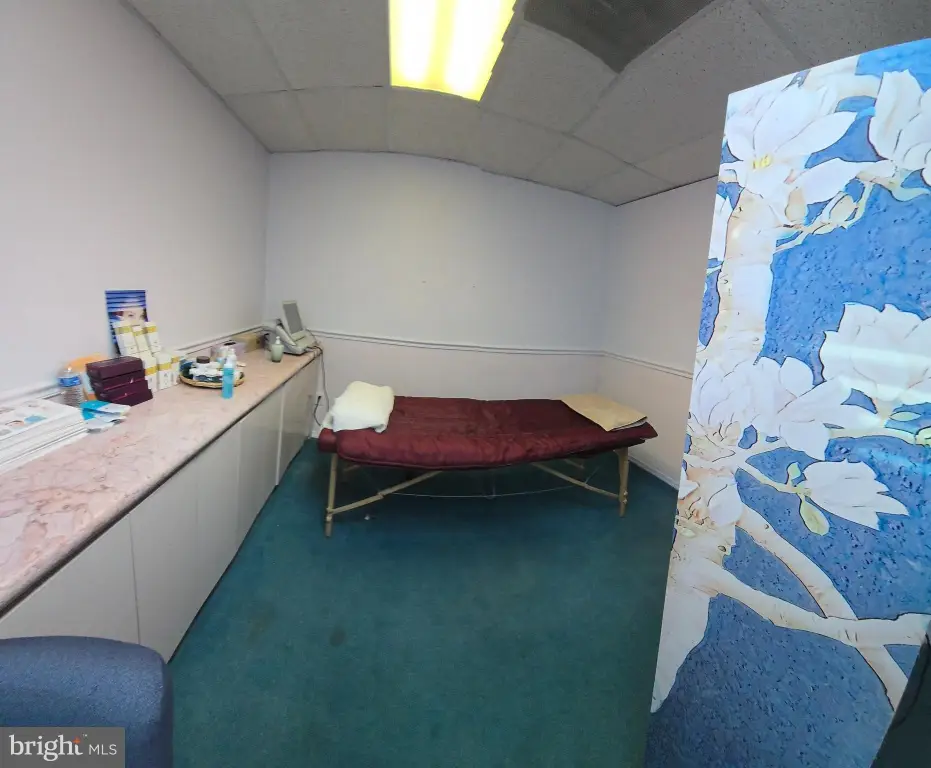 Picture 21