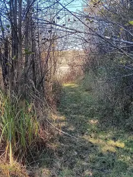 Waterfront Land with Wooded Trails