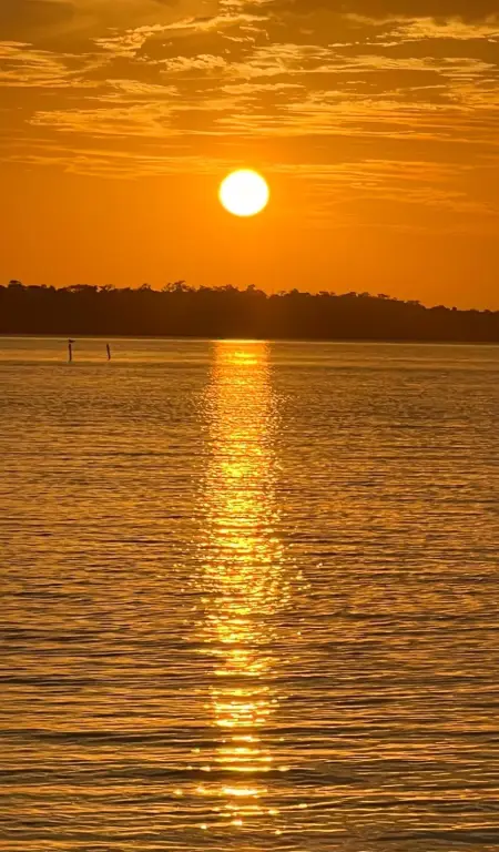 Picture 27