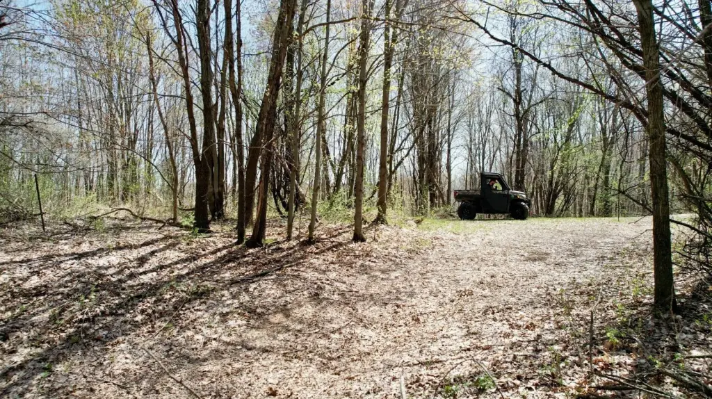 Picture 13