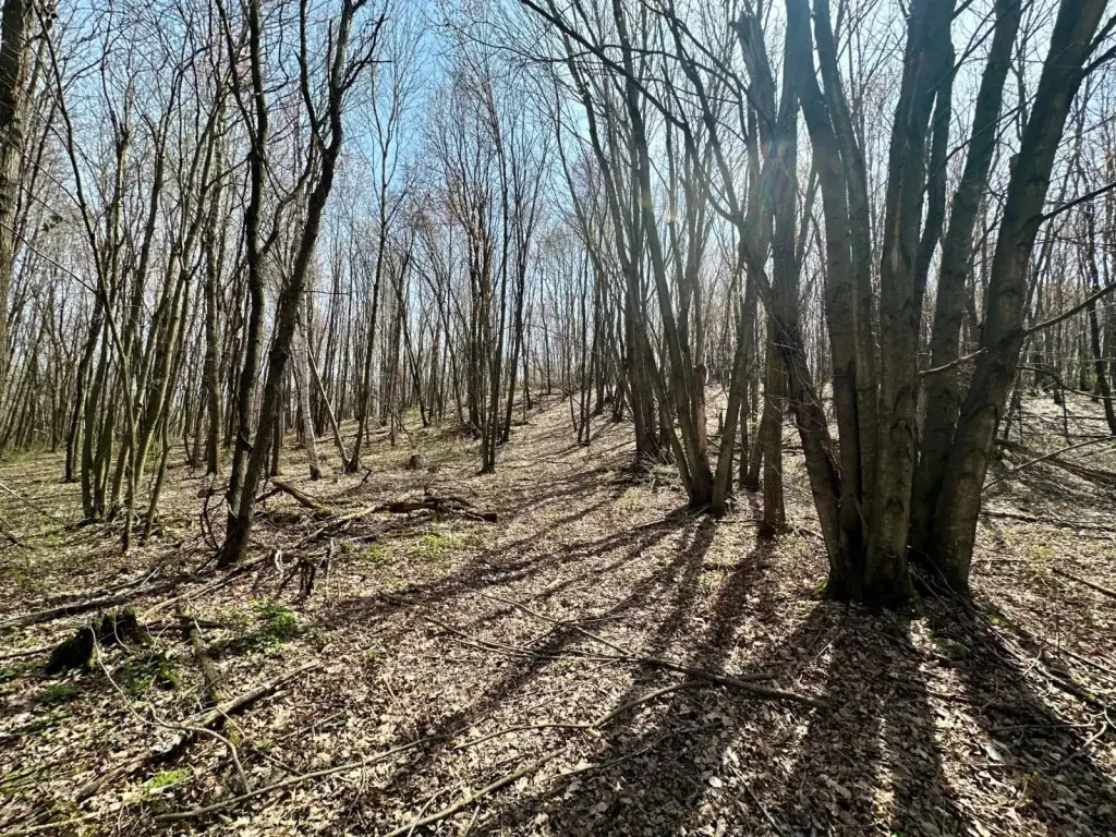 Picture 23