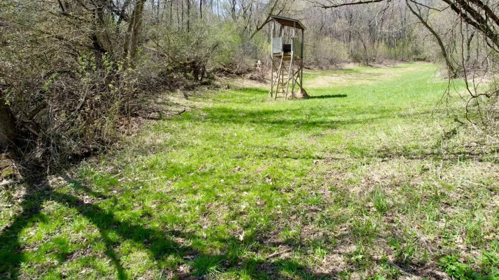 Picture 5