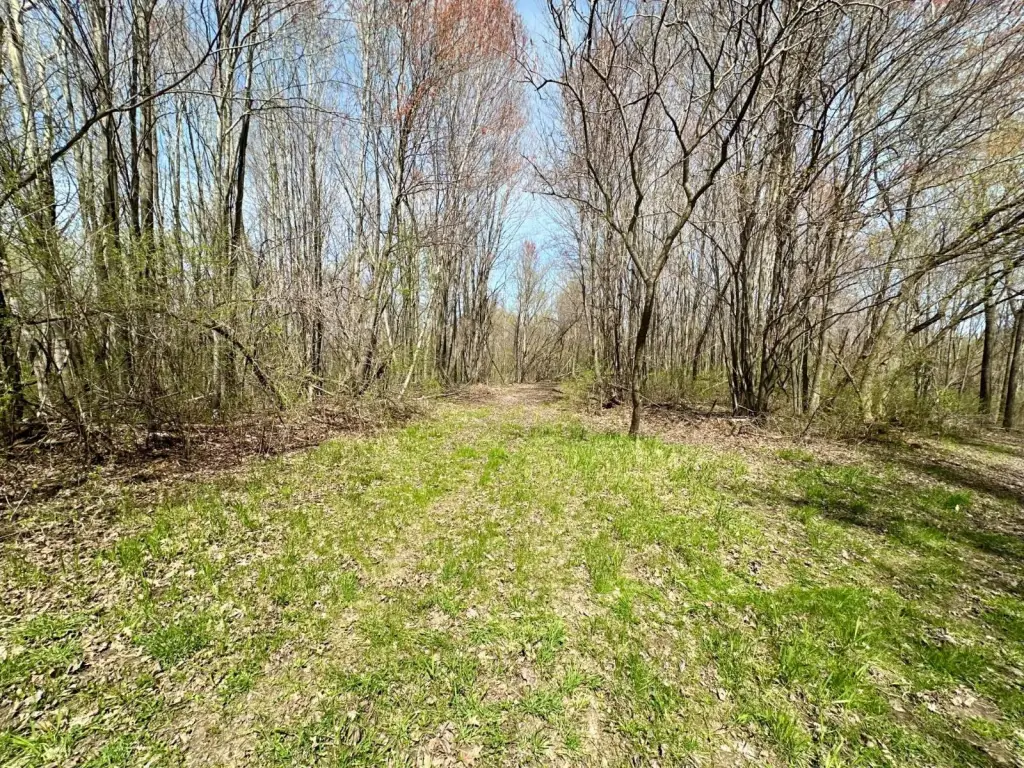 Picture 22
