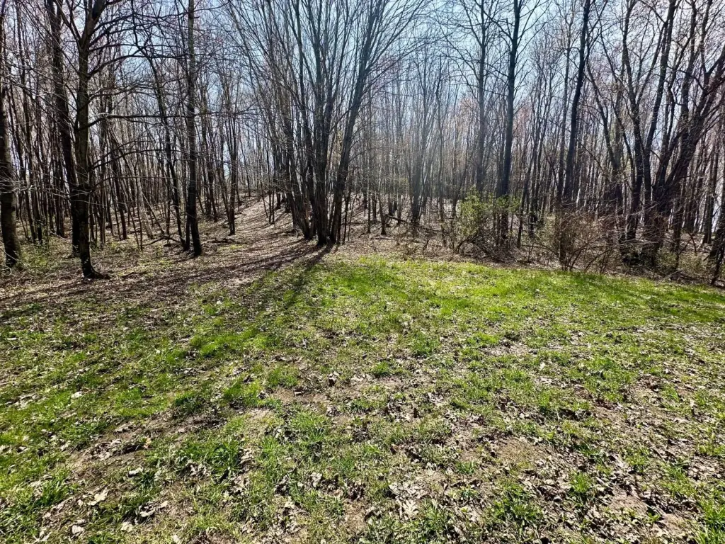 Picture 19