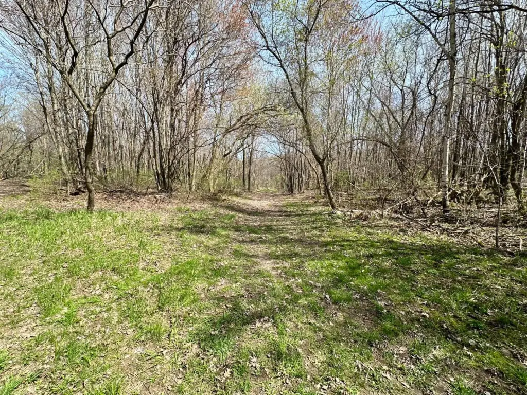 Picture 21