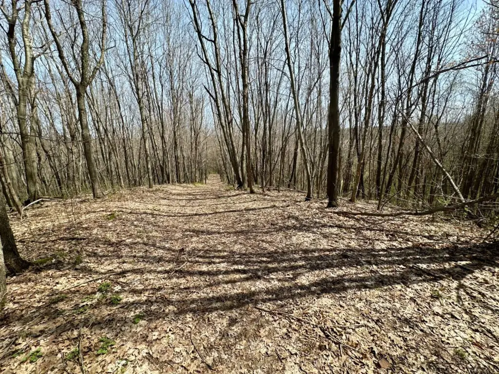 Picture 24