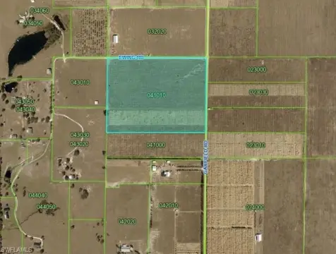 Agricultural Land with Bamboo Plantings