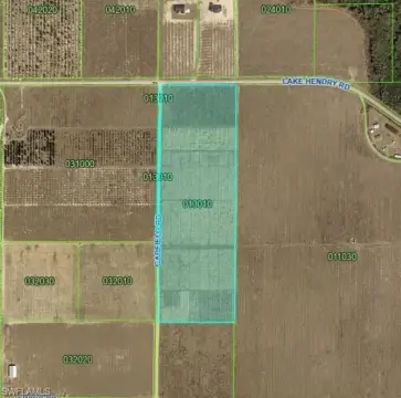 Agricultural Land with Bamboo Plantings