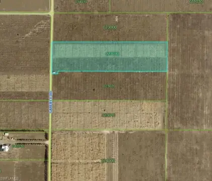Agricultural Land with Bamboo Plantings