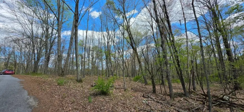 Picture 8