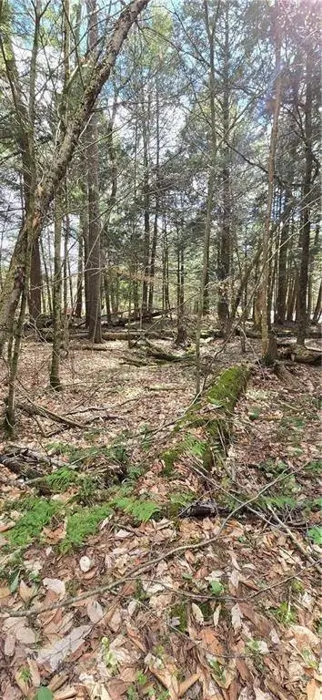 Picture 15