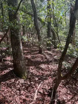 Creek Front Lot in Highlands