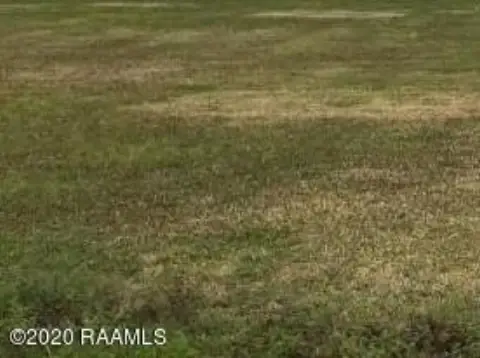 Residential Land in Kaplan, LA