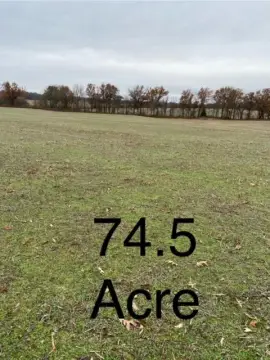 75 Acres Farmland with Pond