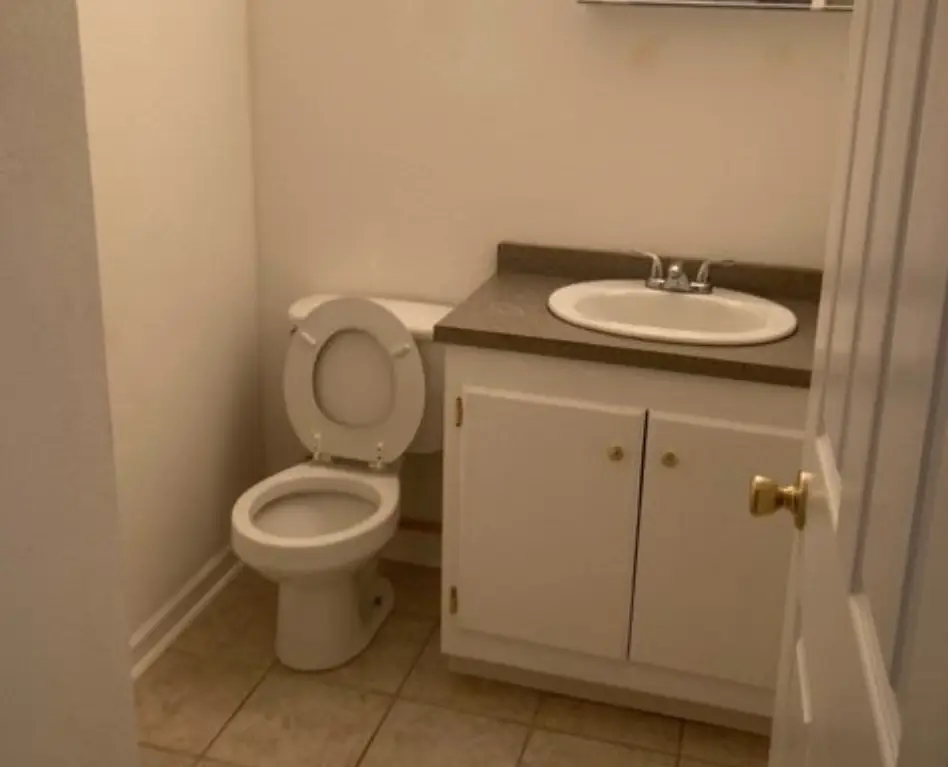 Picture 8