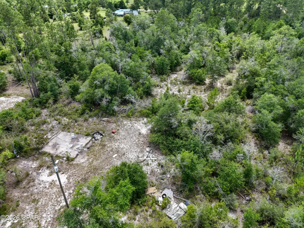 Picture 21
