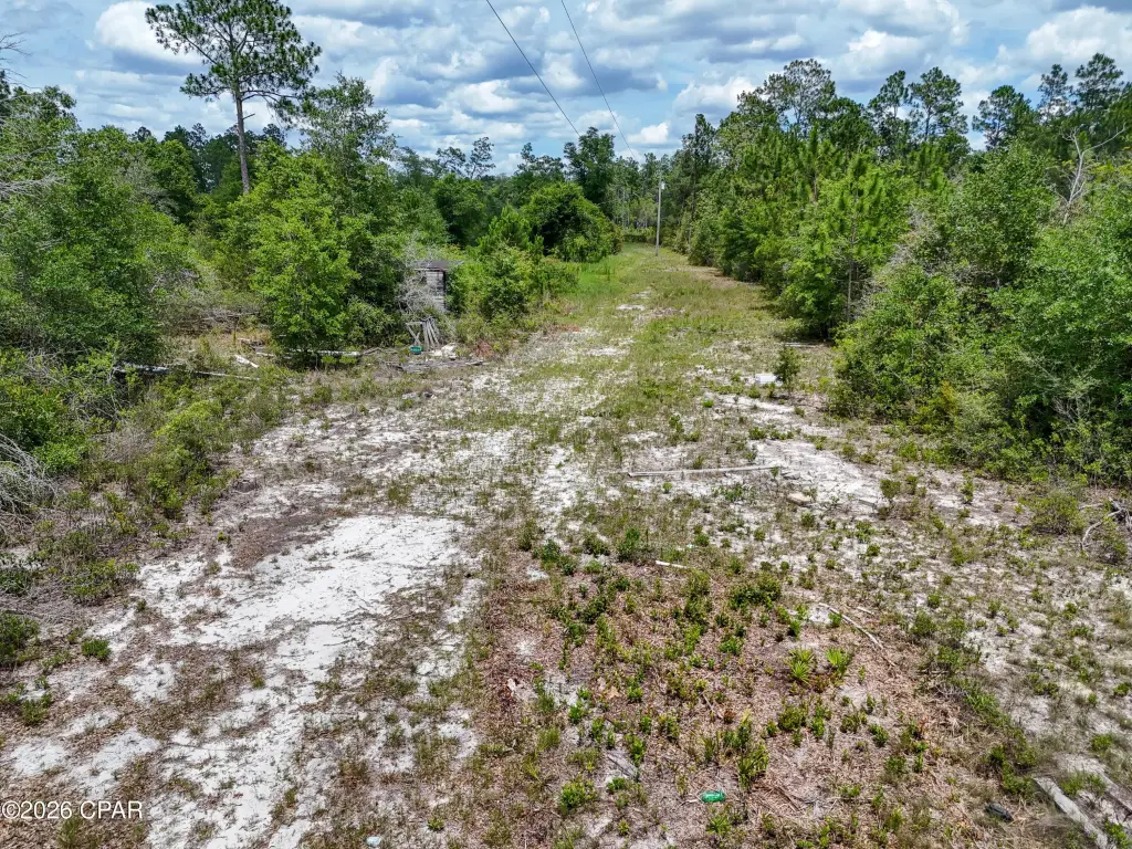 Picture 25