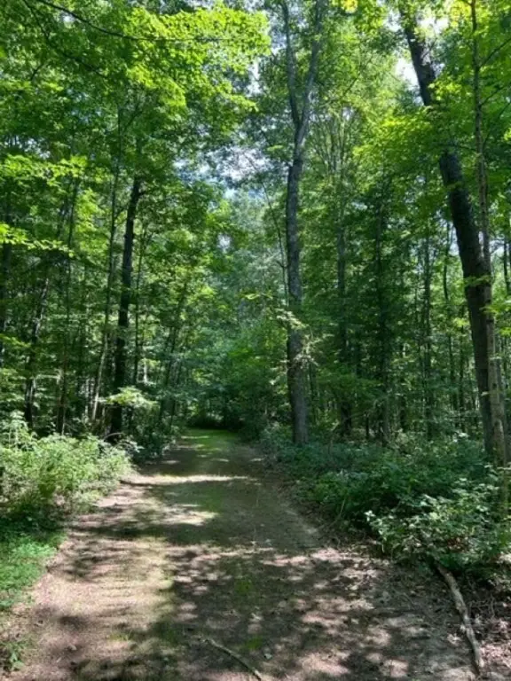 Picture 23