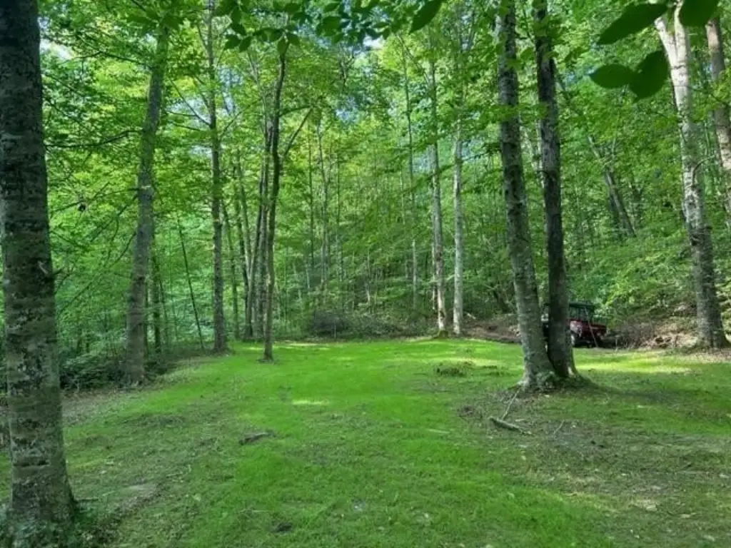 Picture 3