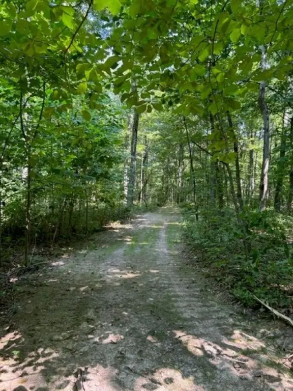 Picture 8