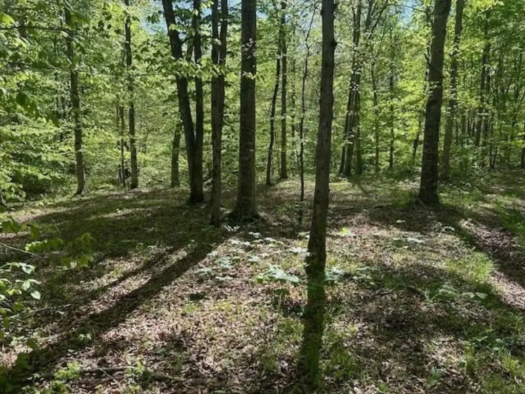 Picture 41