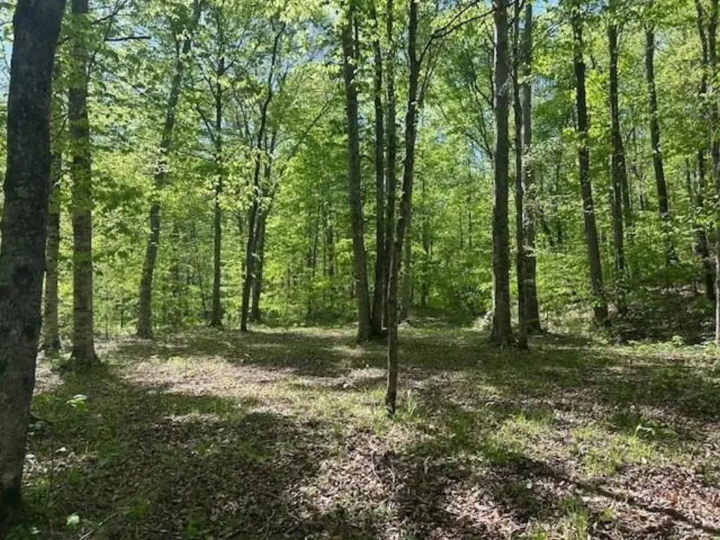 Picture 42