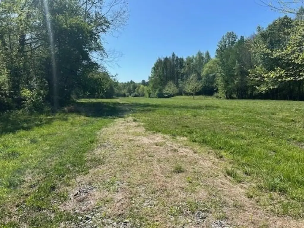 Picture 28