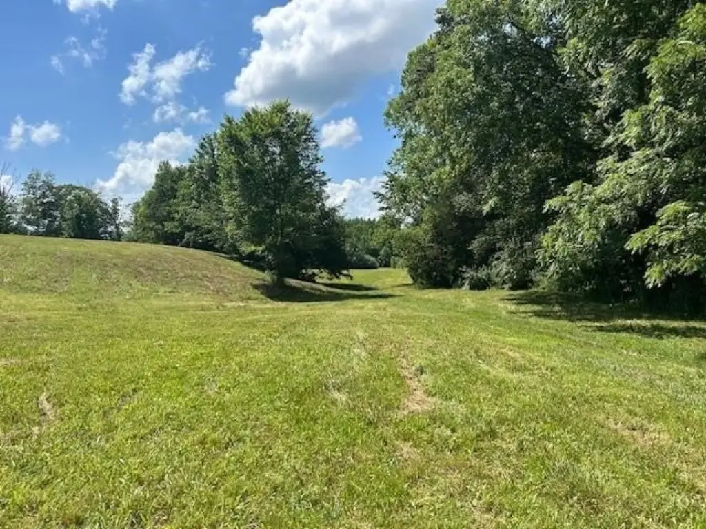 Picture 21