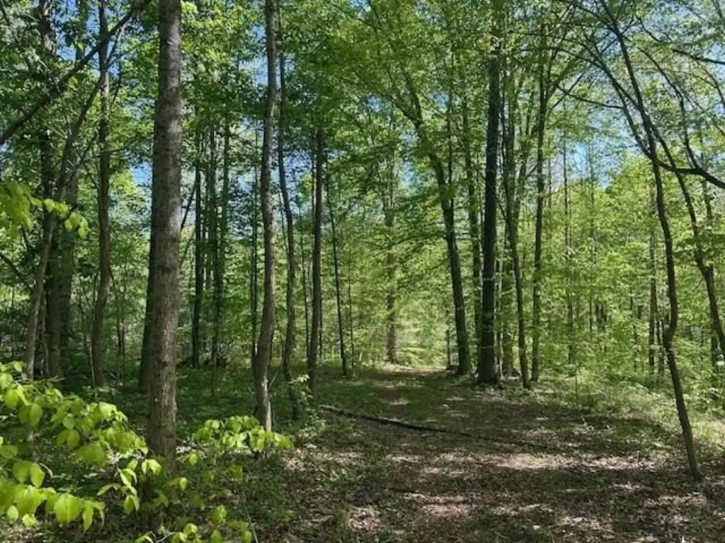 Picture 40
