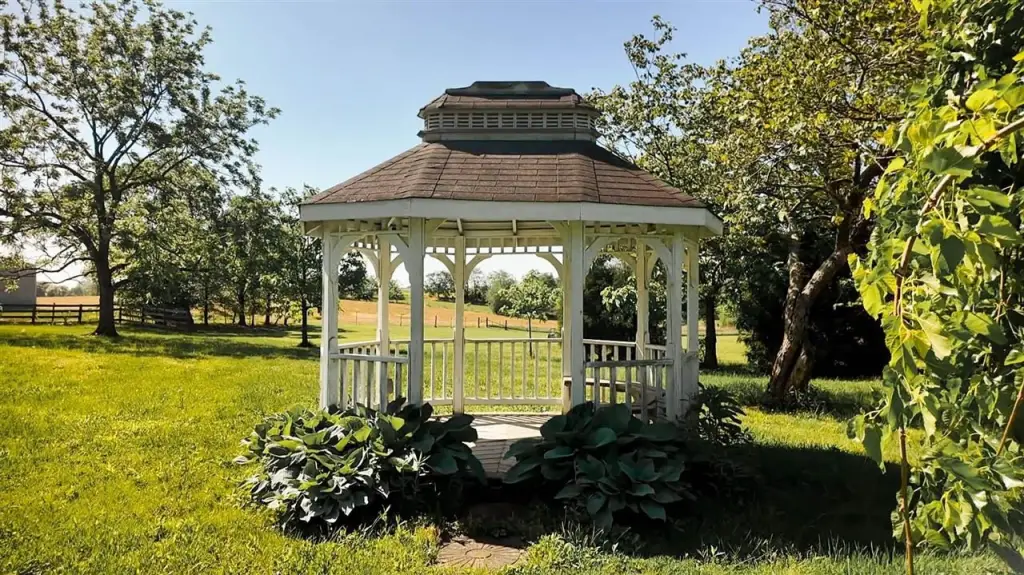 Picture 23