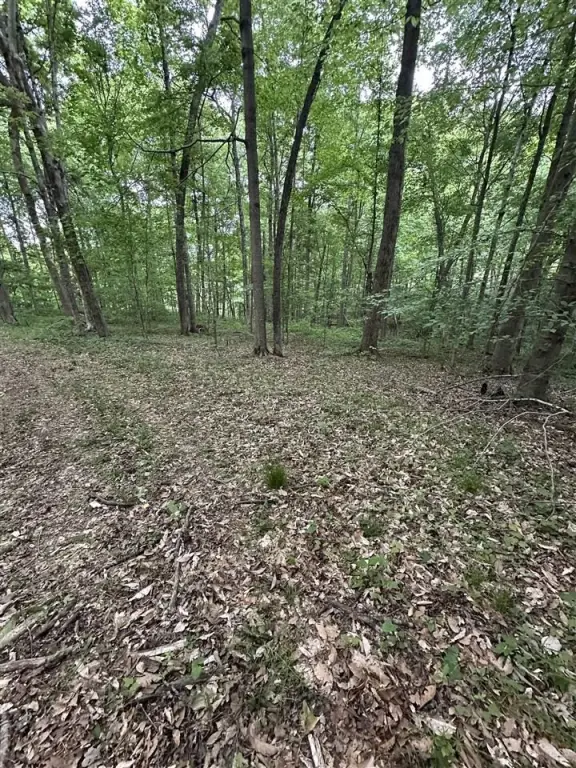 Picture 3