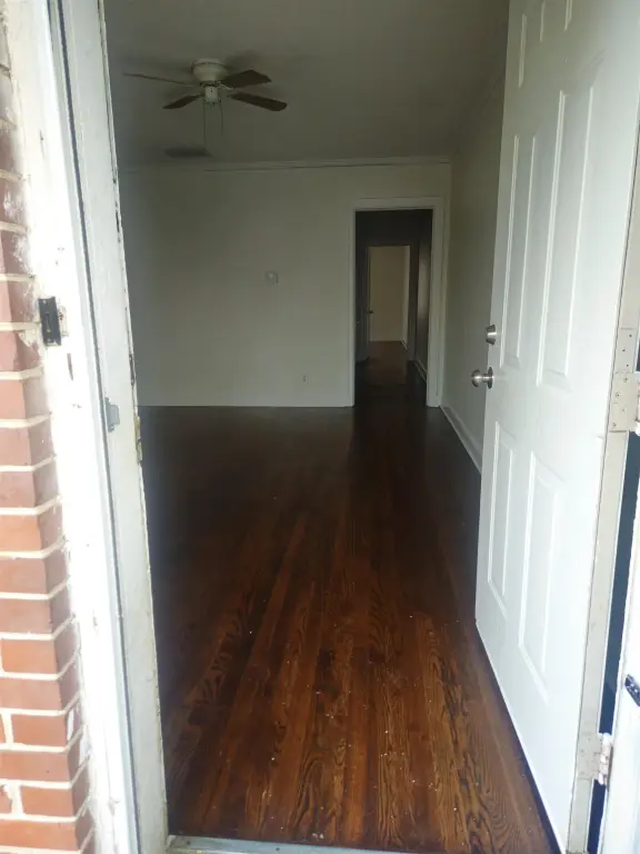 Picture 5
