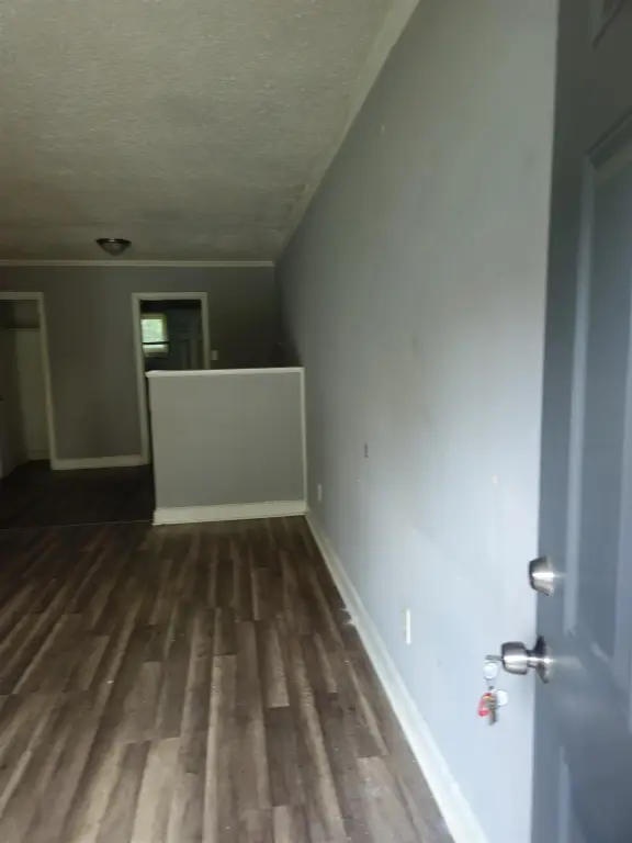 Picture 4