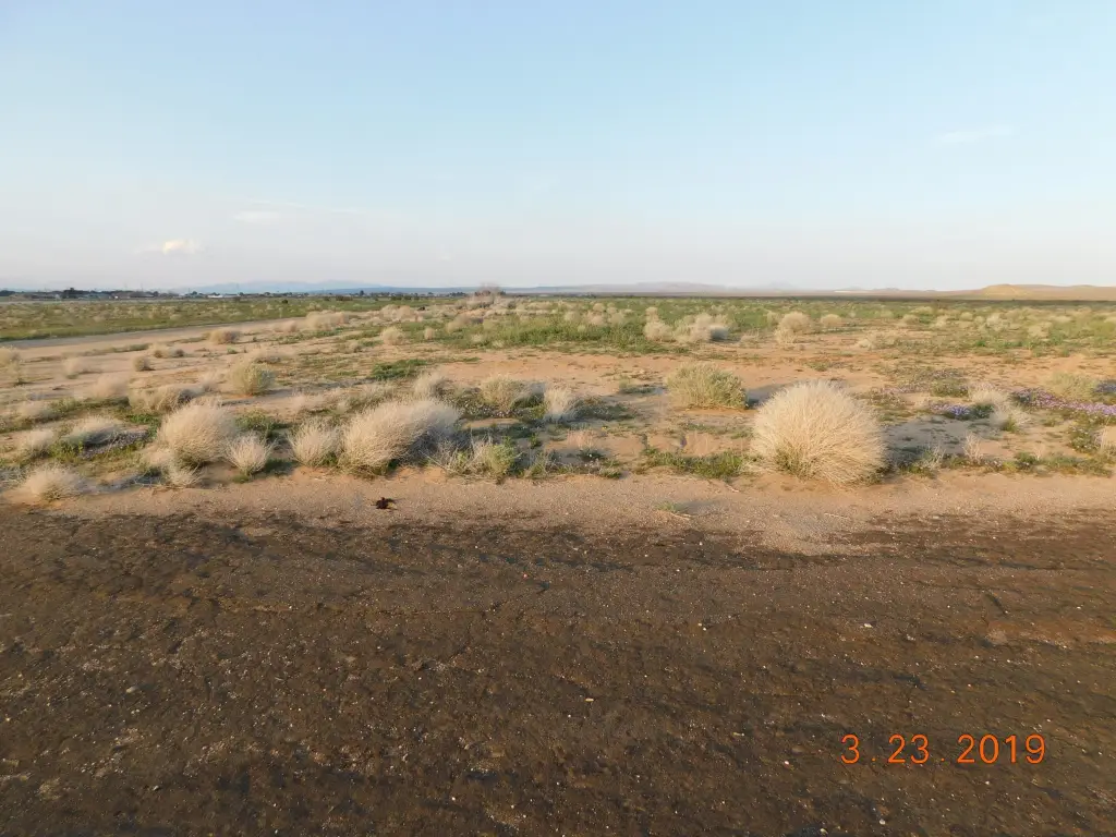 Picture 4