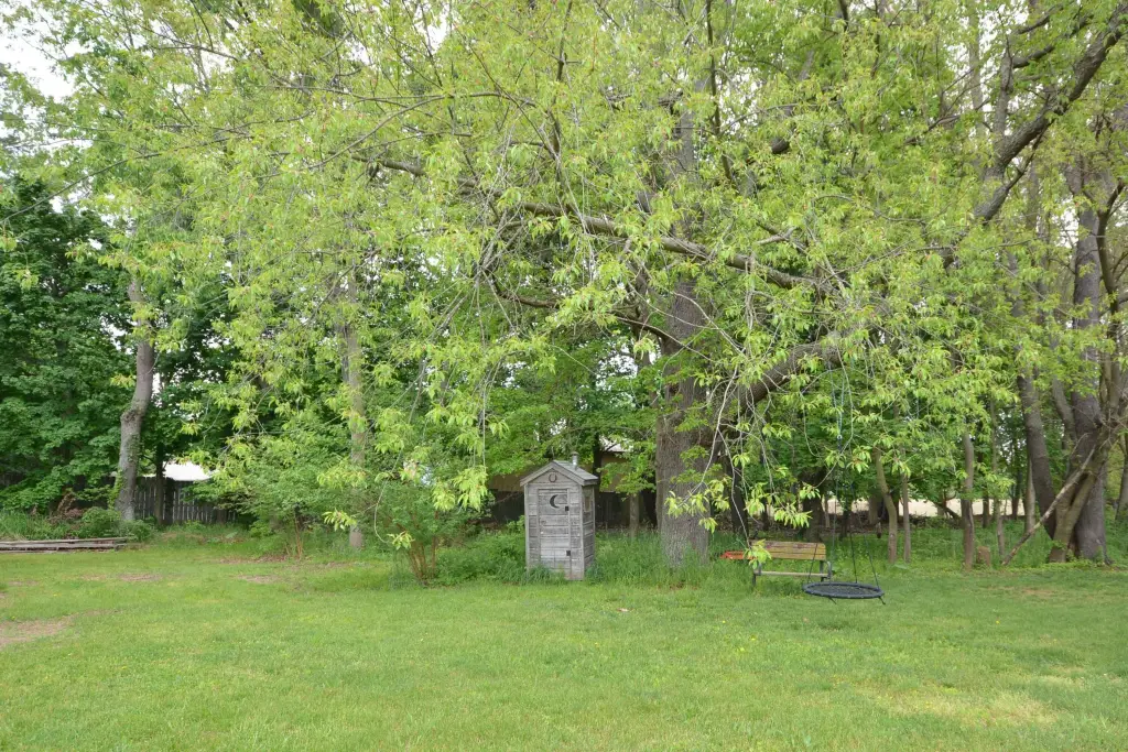 Picture 30