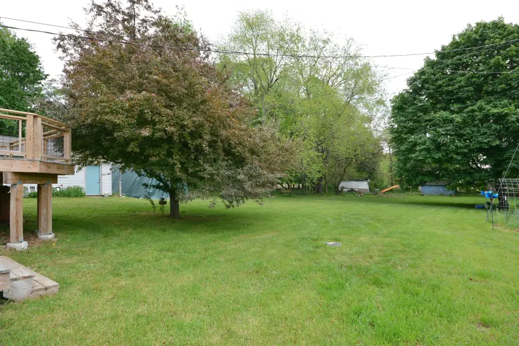 Picture 29