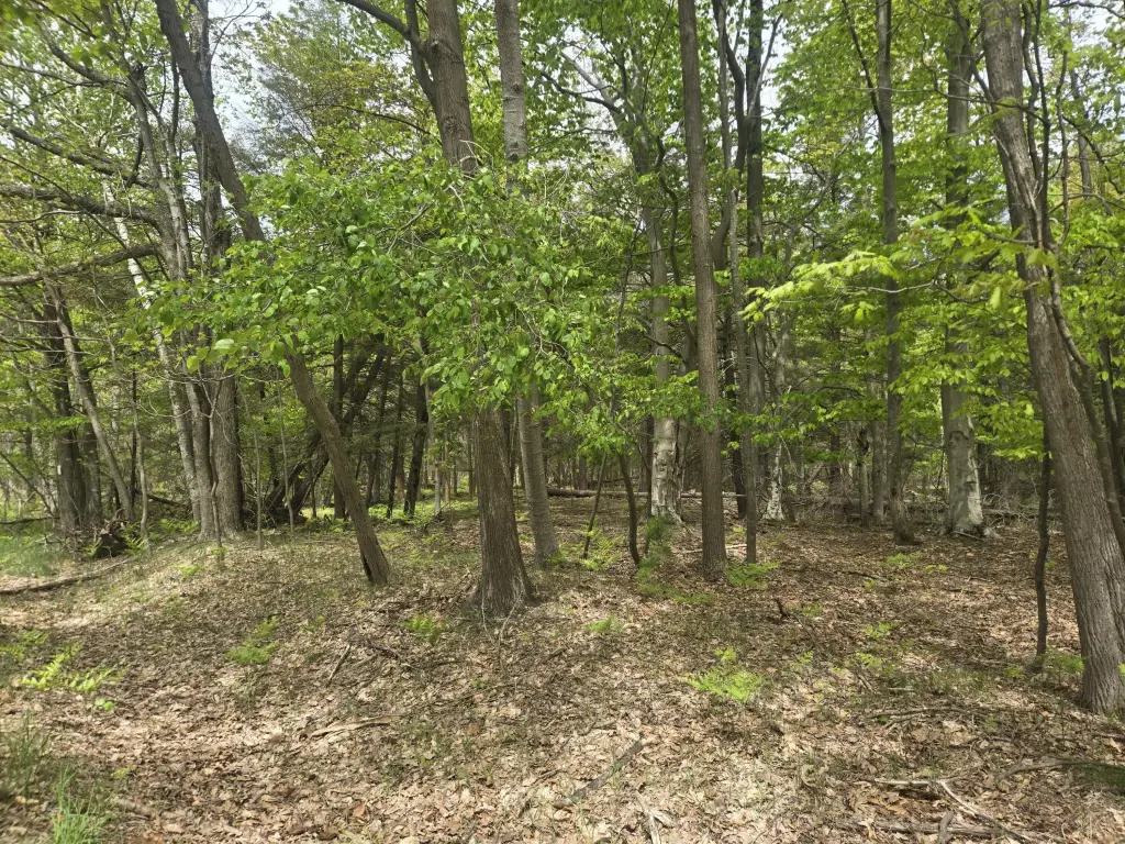 Picture 3