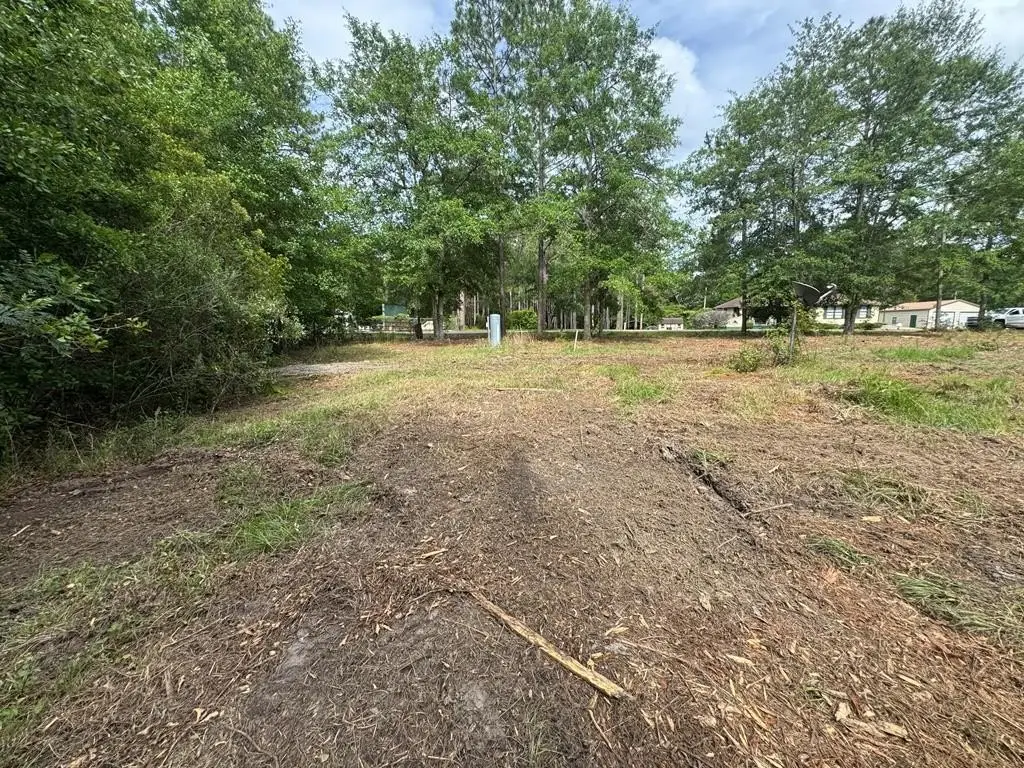 Picture 16
